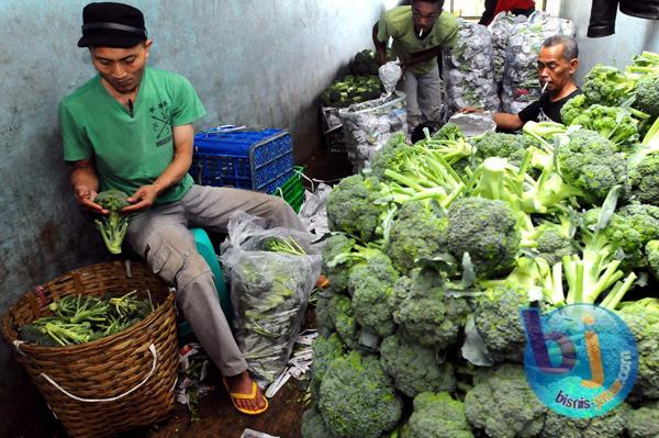  Pasar Induk Caringin Dibanjiri Hortikultura Luar Jabar