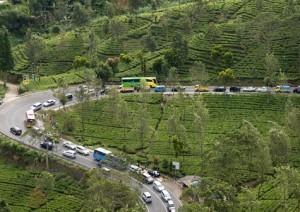  Libur Sekolah Tiba, Jalur Wisata Mulai Padat