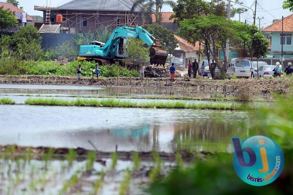  FOTO: Alihfungsi Lahan Sawah Tak Terkendali