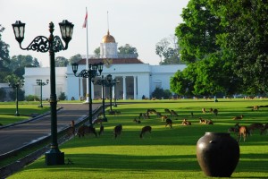  Jalur Puncak Ditutup, SBY Tahun Baruan di Istana Cipanas