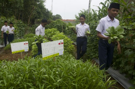  Kadin: Jangan Bergantung Impor, Perkuat Industri Perbenihan Hortikultura