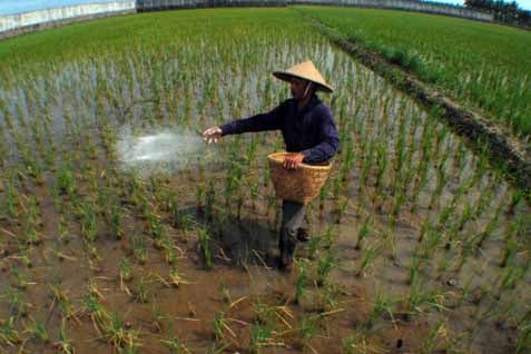  Kesejahteraan Petani Menurun Sepanjang 2013