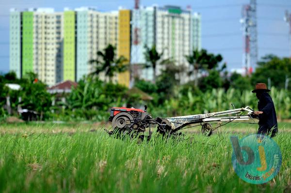  FOTO: Jabar Targetkan 100.000 Hektare Sawah Baru