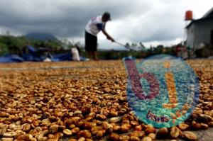  Jabar Terapkan Skema Resi Gudang Kopi