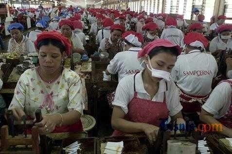  Pabrik Rokok Skala Kecil di Jateng Rontok