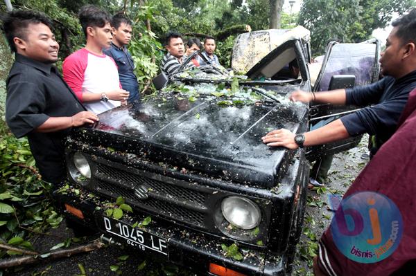  FOTO: Hujan Angin di Bandung, 23 Pohon Tumbang