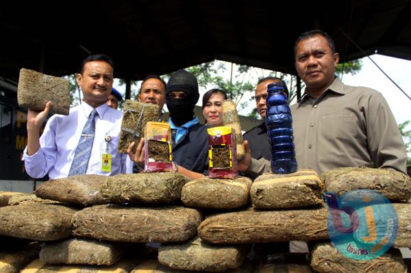  FOTO: Polda Jabar Musnahkan 329 Kg Ganja