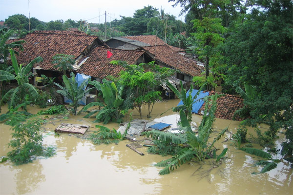  Sungai Batanghari Meluap, 5 Kecamatan Terendam Banjir