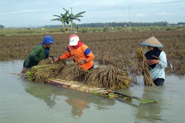  Banjir Jateng, Pemprov Siapkan Anggaran Rp30 Miliar