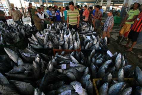  Cuaca Buruk, Ikan Budidaya Disarankan Cepat Dipanen