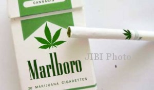  Benarkah Marlboro Ganja Akan Diluncurkan?