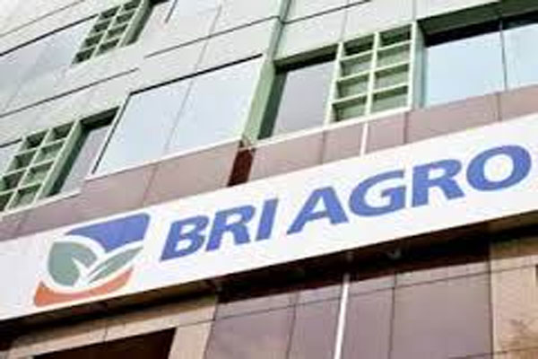  BRI Agroniaga (AGRO) Segera Tambah Saham Publik Jadi 10%