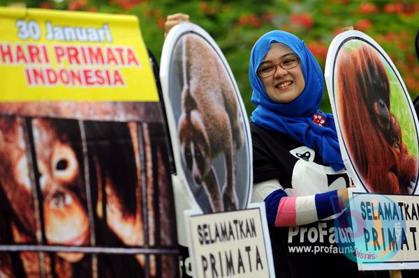  FOTO: Profauna Jabar Peringati Hari Primata Indonesia