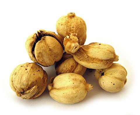 Harga kapulaga cukup stabil yaitu berkisar pada Rp 40.000  Rp45.000 per kilogram kering. /bisnis.com