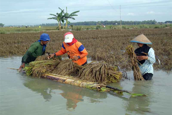  Banjir di Banyak Wilayah, Tingkat Kemiskinan Nasional Terancam Naik