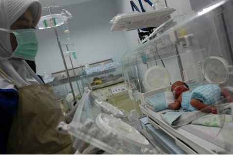  Kasus Bayi Tertukar: Polda Jambi Tunggu Hasil Tes DNA