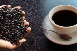  Harga Kopi Melejit Akibat Cuaca Buruk