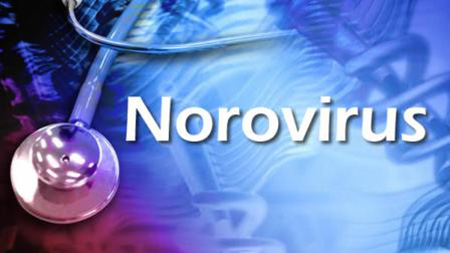  Norovirus Menyebar di Norwegia Selatan