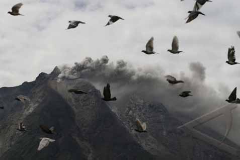  BI Berikan Bantuan Pemberdayaan Pengungsi Sinabung