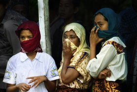  UNIDO Niat Dorong Perempuan Pebisnis