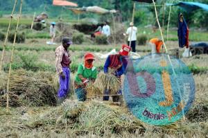  Pemkab Bandung: Alih Fungsi Lahan Sesuai Peruntukan