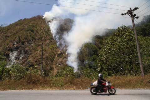  Kebakaran Hutan, Pemerintah Minta Komitmen Tertulis Perusahaan Sawit