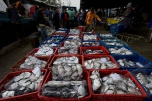  Jabar Target Produksi Ikan 1,08 Juta Ton