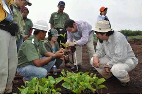  Ekohidro Efektif Cegah Kebakaran Lahan Gambut di Riau