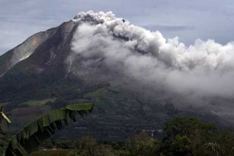  Gunung Kelud Meletus: Sayuran di Kawasan Merapi Tertutup Abu Vulkanik