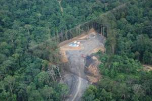  Petunjuk Teknis Pinjam Pakai Kawasan Hutan Lindung Diterbitkan