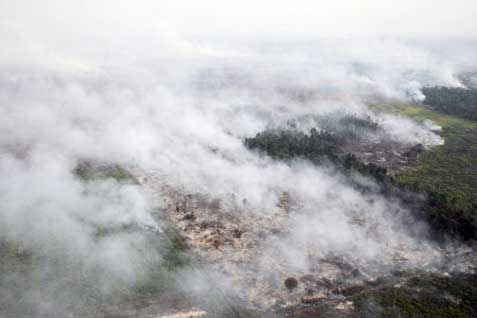  BMKG Deteksi 3.469 Titik Api di Riau, Kabut Asap Masih Mengancam