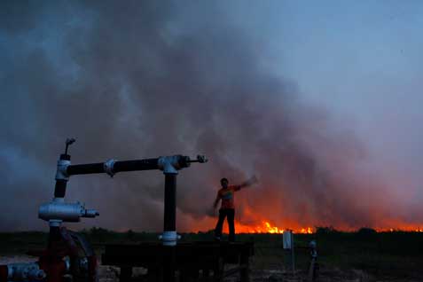 Kebakaran Hutan Riau Diusulkan Jadi KLB