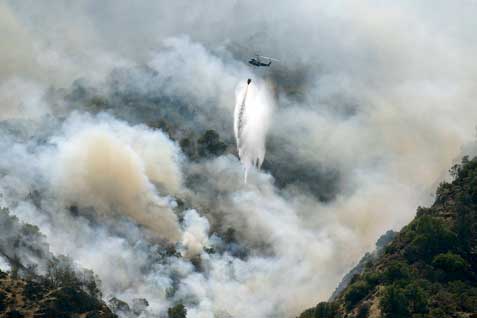  Kebakaran Hutan di Riau Diatasi dengan Bom Air