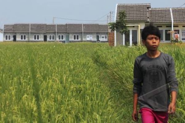  Perubahan Iklim Dan Konversi Lahan Hambat Pertanian