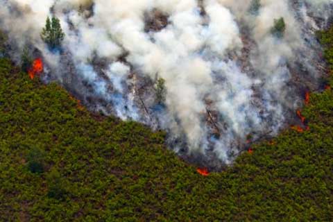  Kota Palembang Diselimuti Kabut Asap Kiriman Riau