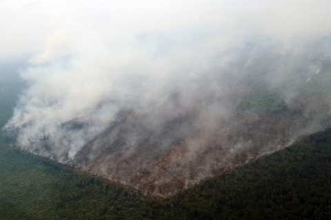  Aceh Duduki Peringkat Pertama Bahaya Kebakaran Hutan