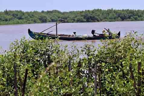  Indonesia Power Tanam Kembali Mangrove di Benoa