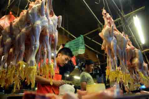  Pasar Kurang Ayam Kampung, Banyak Peternak Bangkrut