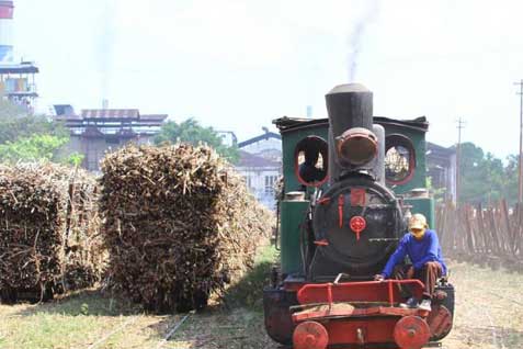  Usai Diguyur Debu Kelud, PTPN X Giling Tebu