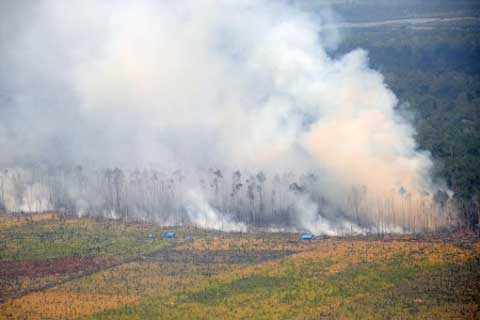 Kebakaran Hutan Riau: 67 Orang Ditetapkan Sebagai Tersangka