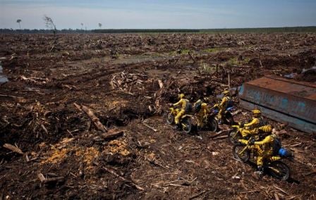  Masyarakat Tiga Benua Desak Setop Produksi dan Perdagangan dari Lahan Rampasan