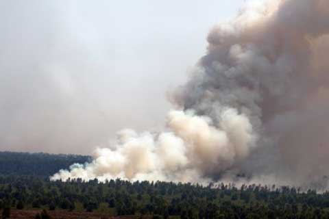  9 Tersangka Pembakar Hutan Riau akan Dihadirkan di Posko Satgas