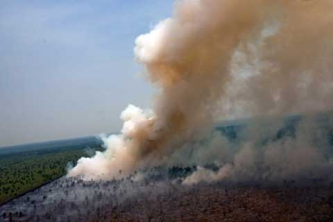 Atasi Kebakaran Hutan Riau: Sudah 60 Ton Garam Ditaburkan