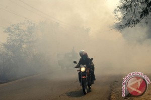  Kualitas Udara Riau Mulai Membaik
