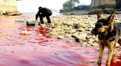  Sungai Ganjiang, Sumber Air Minum Di China Dipenuhi  131 Bangkai Babi