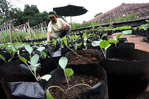  Sikap Pemerintah Terkait Benih Tidak Jelas