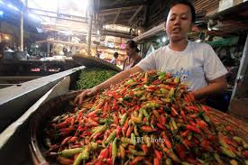 Harga cabe rawit tembus Rp70.000 Per Kilogram/JIBI