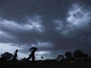  Cirebon Hujan Angin, Sejumlah Pohon Tumbang