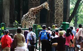  PILEG 2014 Di Gelar, Kebun Binatang Ragunan \'Kesiangan\'