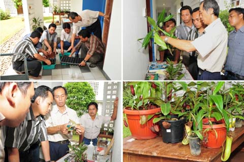  LIPI Dirikan Rumah Kantung Semar di Cianjur